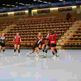 fa frauen 2 - hc erlangen 11.12.2022