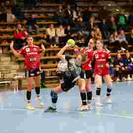 fa frauen 2 - hc erlangen 11.12.2022