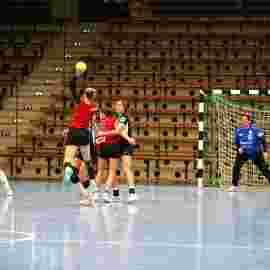 fa frauen 2 - hc erlangen 11.12.2022