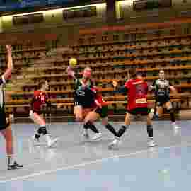 fa frauen 2 - hc erlangen 11.12.2022