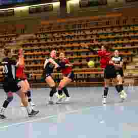 fa frauen 2 - hc erlangen 11.12.2022