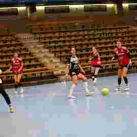 fa frauen 2 - hc erlangen 11.12.2022