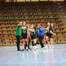 fa frauen 2 - hc erlangen 11.12.2022
