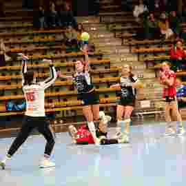 fa frauen 2 - hc erlangen 11.12.2022