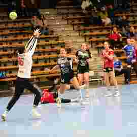 fa frauen 2 - hc erlangen 11.12.2022