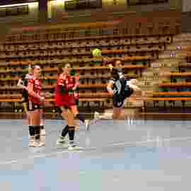 fa frauen 2 - hc erlangen 11.12.2022