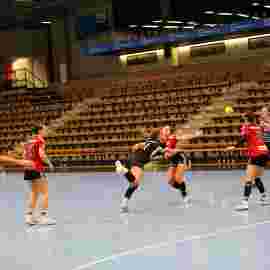 fa frauen 2 - hc erlangen 11.12.2022