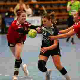 fa frauen 2 - hc erlangen 11.12.2022