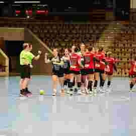 fa frauen 2 - hc erlangen 11.12.2022