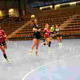 fa frauen 2 - hc erlangen 11.12.2022