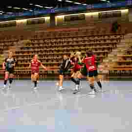 fa frauen 2 - hc erlangen 11.12.2022