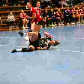 fa frauen 2 - hc erlangen 11.12.2022