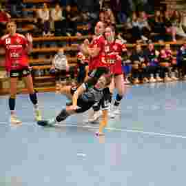 fa frauen 2 - hc erlangen 11.12.2022