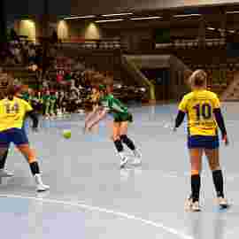 fa frauen 2 - hsg leinfelden-echterdingen 29.01.2023