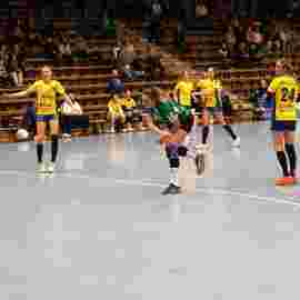 fa frauen 2 - hsg leinfelden-echterdingen 29.01.2023