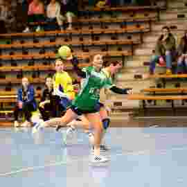 fa frauen 2 - hsg leinfelden-echterdingen 29.01.2023