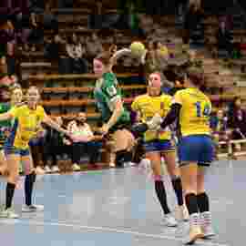 fa frauen 2 - hsg leinfelden-echterdingen 29.01.2023