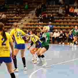 fa frauen 2 - hsg leinfelden-echterdingen 29.01.2023