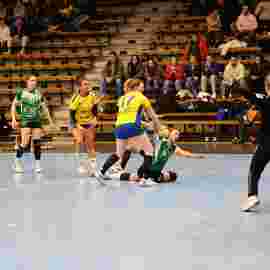 fa frauen 2 - hsg leinfelden-echterdingen 29.01.2023