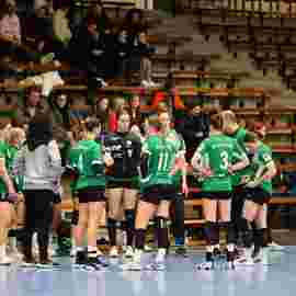 fa frauen 2 - hsg leinfelden-echterdingen 29.01.2023