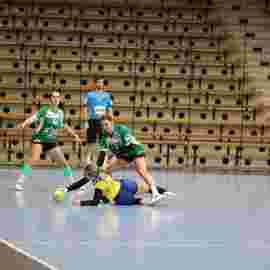 fa frauen 2 - hsg leinfelden-echterdingen 29.01.2023
