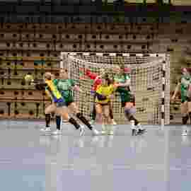 fa frauen 2 - hsg leinfelden-echterdingen 29.01.2023