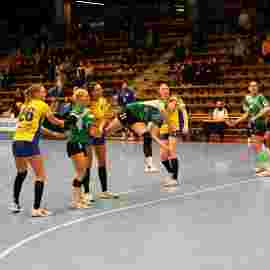fa frauen 2 - hsg leinfelden-echterdingen 29.01.2023