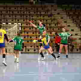 fa frauen 2 - hsg leinfelden-echterdingen 29.01.2023