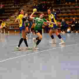 fa frauen 2 - hsg leinfelden-echterdingen 29.01.2023
