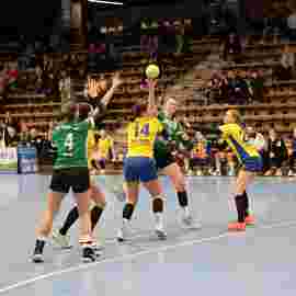 fa frauen 2 - hsg leinfelden-echterdingen 29.01.2023