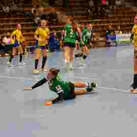 fa frauen 2 - hsg leinfelden-echterdingen 29.01.2023
