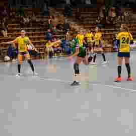fa frauen 2 - hsg leinfelden-echterdingen 29.01.2023