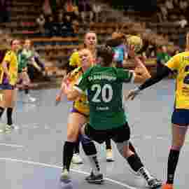 fa frauen 2 - hsg leinfelden-echterdingen 29.01.2023