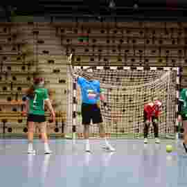fa frauen 2 - hsg leinfelden-echterdingen 29.01.2023