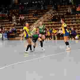 fa frauen 2 - hsg leinfelden-echterdingen 29.01.2023