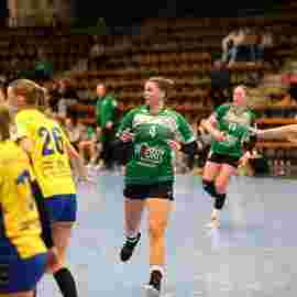 fa frauen 2 - hsg leinfelden-echterdingen 29.01.2023