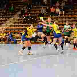 fa frauen 2 - hsg leinfelden-echterdingen 29.01.2023