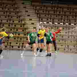 fa frauen 2 - hsg leinfelden-echterdingen 29.01.2023