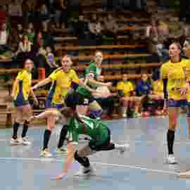 fa frauen 2 - hsg leinfelden-echterdingen 29.01.2023