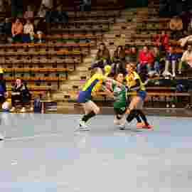 fa frauen 2 - hsg leinfelden-echterdingen 29.01.2023