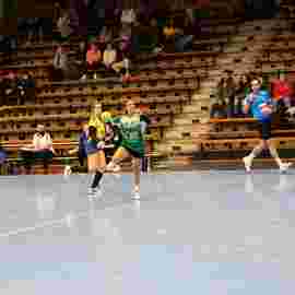 fa frauen 2 - hsg leinfelden-echterdingen 29.01.2023