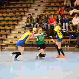 fa frauen 2 - hsg leinfelden-echterdingen 29.01.2023