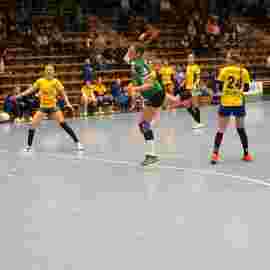 fa frauen 2 - hsg leinfelden-echterdingen 29.01.2023
