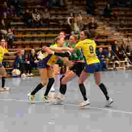 fa frauen 2 - hsg leinfelden-echterdingen 29.01.2023