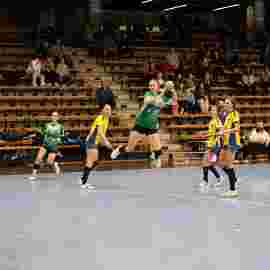 fa frauen 2 - hsg leinfelden-echterdingen 29.01.2023