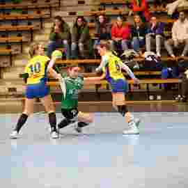 fa frauen 2 - hsg leinfelden-echterdingen 29.01.2023