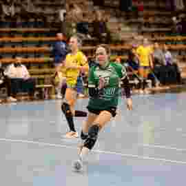 fa frauen 2 - hsg leinfelden-echterdingen 29.01.2023