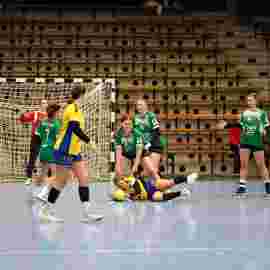 fa frauen 2 - hsg leinfelden-echterdingen 29.01.2023