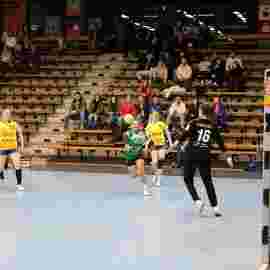 fa frauen 2 - hsg leinfelden-echterdingen 29.01.2023