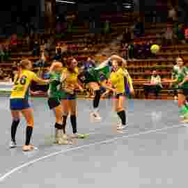 fa frauen 2 - hsg leinfelden-echterdingen 29.01.2023